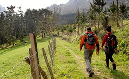 El plan pretende incrementar el número de personas que realiza alguna actividad física.