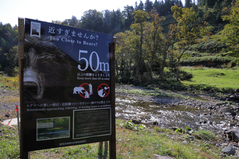 Un cartel alerta de la presencia de osos en el río Iwaobetsu, en la isla de Hokkaido.