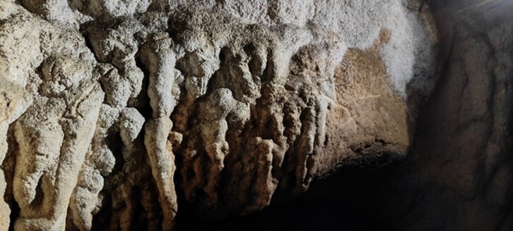 Los grabados ponen de manifiesto ponen de manifiesto una ocupación «esporádica y efímera» de esta cavidad.