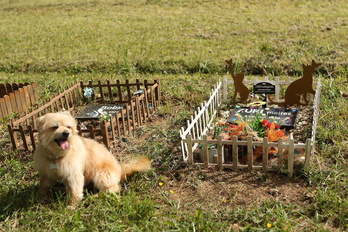 Maskoten hilerri bat BIzkaian, artxiboko irudian.