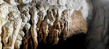 Gune honetan Paleolitoko grabatu antropikoak dituzten lau panel txiki aurkitu dira.