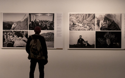 Erakusketaren irudia.