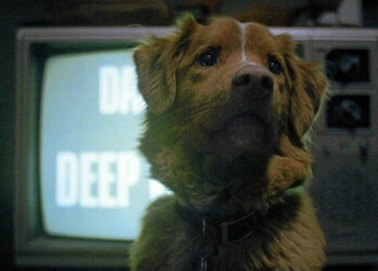 gara-2025-10-20-Noticia