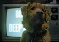 gara-2025-10-20-Noticia