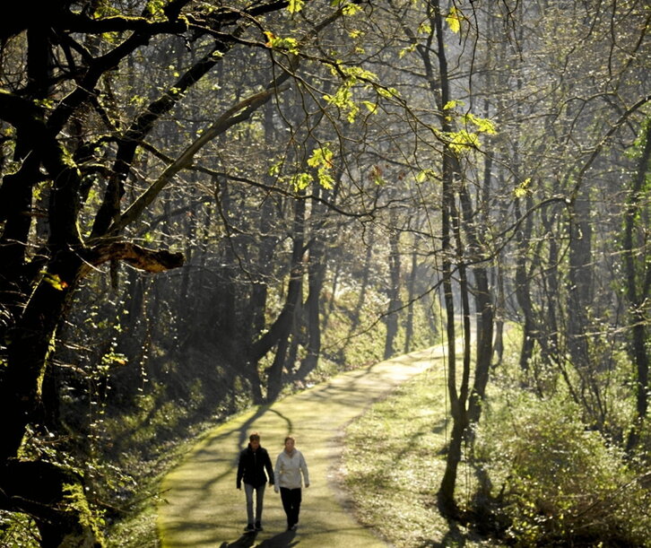 El Observatorio escuchará a la ciudadanía.