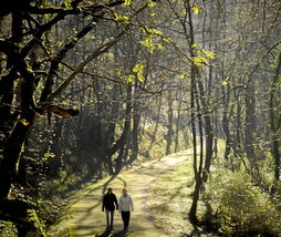El Observatorio escuchará a la ciudadanía.