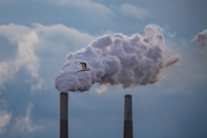 La central de carbón de Miami Fort Power Station, ayer.