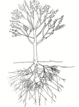 Ilustrazioa: ULA IRURETAGOIENA BUSTURIA