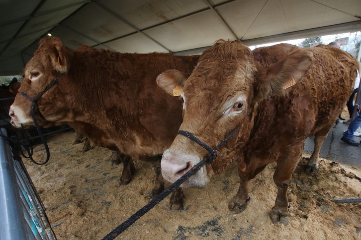 Imagen de archivo de la feria de San Blas en Abadiño.