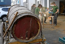 Dolareak egitasmoaren aurkezpena, Astigarragan.