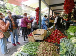 Udazkena izanik, Bizkaiko nekazariek beren ortuetako produkturik onenak eramango dituzte Gernikara.