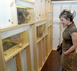 Euskal Herria museoa Alegria jauregi barrokoan dago.