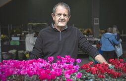 Beaskoetxea aurten ere Gernikan izango da. Irudian:, ostegunean Markinako azokan.