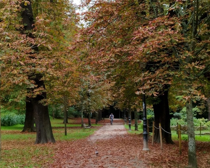 La agresión sexual tuvo lugar en el parque Cristina Enea de Donostia.