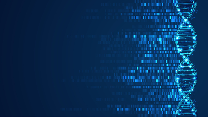 Zientzia Asteak 200 jarduera baino gehiago eskainiko ditu.