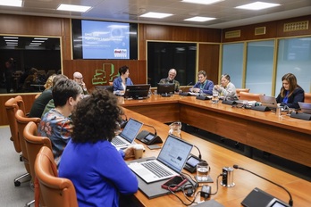 Comparecencia de la asociación Derecho a Morir Dignamente de Euskadi en comisión parlamentaria.
