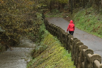Pertsona bat, basorako bidean Galdakaon, artxiboko irudian.