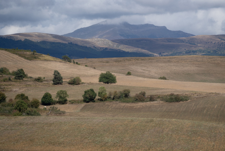 Abaurregaina ingurua, soroak lehen planoan eta mendi lurrak atzean