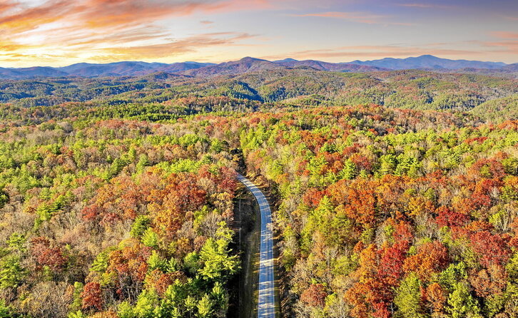 Blue Ridge Parkway, Ipar Carolina eta Virginia estatuen mendebaldeko mendi eta basoen erditik doan 755 kilometroko bide ederra. (Getty Images)