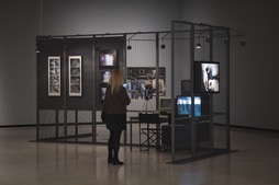 Imagen de la muestra.