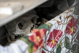 Pomuch-eko kanposantuko hezurtegi batean, garbitzeko prest dagoen garezur bat.