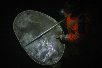 Pescadores de angula en el río Oria.