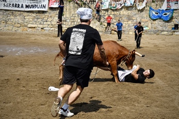 La proposición de ley pretende evitar el maltrato animal y regular la participación en los festejos.