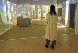 Labea dagoen murgiltze gela, baso bateko irudiez inguratua. Ondoan, egoitzaren kanpokaldea.