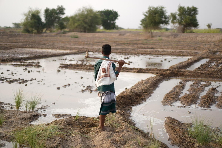 El estudio constata tanto causas naturales como factores humanos.