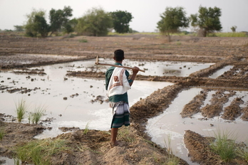 El estudio constata tanto causas naturales como factores humanos.