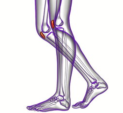 gara-2025-11-03-Noticia