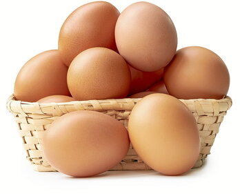 gara-2025-11-03-Noticia