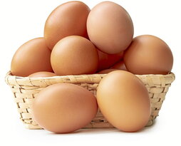 gara-2025-11-03-Noticia