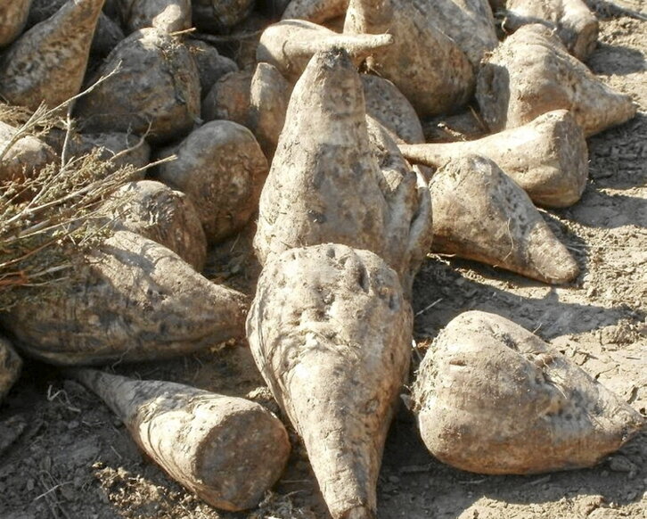 UAGA ha dado por finalizada la relación con British Sugar.