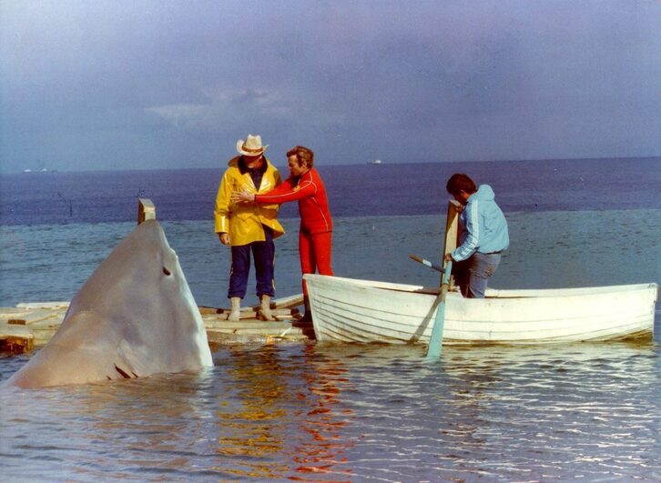 ‘Aquel último tiburón’ dokumentalaren fotograma.