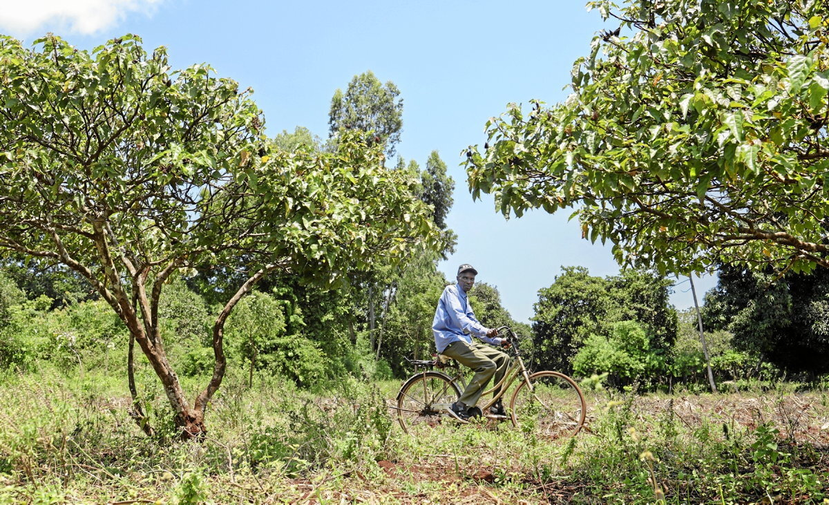 La batalla por las tierras raras se libra también en Kenia