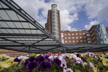 El Servicio de Salud de la CAV ofrece análisis genéticos a hijos e hijas de personas diagnosticadas.