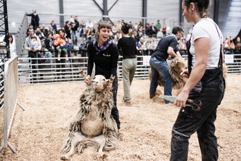 Etxaldeko lanen zenbait erakusketa egin dituzte asteburu osoan.