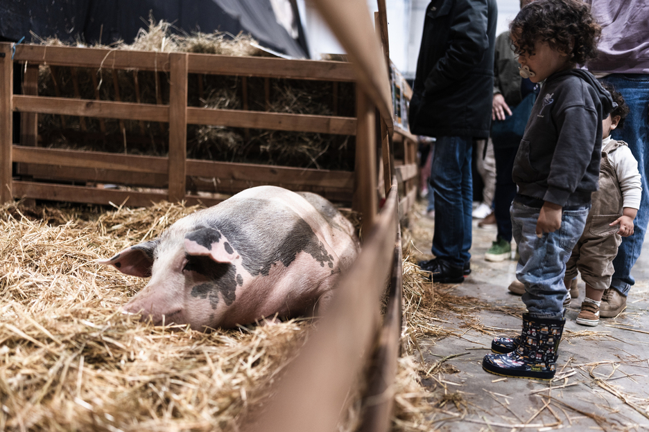 Le salon est propice à toutes sortes de rencontres.