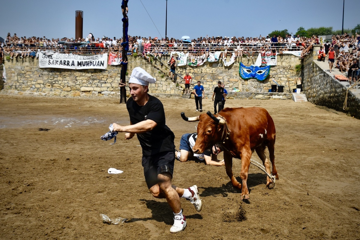 Piden la retirada de la ley de PNV y PSE que «permite espectáculos taurinos en la infancia»