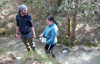 Investigadores que han participado en el estudio recogen muestras en uno de los arroyos.