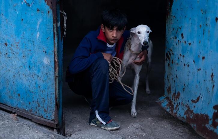 Toni, 15 urteko mutil ijitoa da kontakizunaren protagonista.