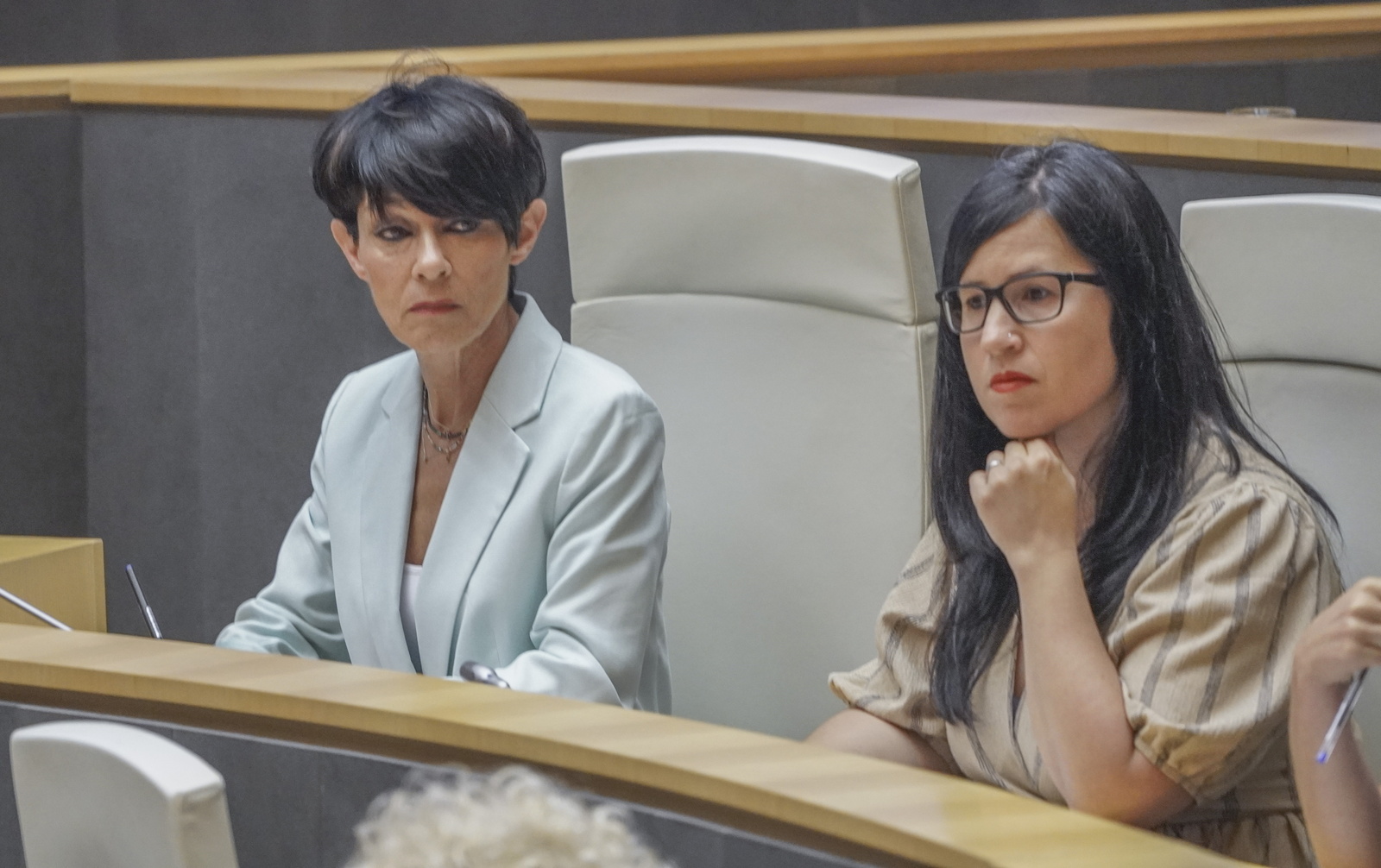 EH Bildu, Gipuzkoako aurrekontuei «ekarpen arduratsua» egiteko prest