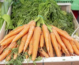 El precio de las hortalizas y las legumbres casi se ha duplicado en diez años.