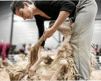 “Paysans de demain” était le thème choisi par Lurrama cette année. © Nahia Garat