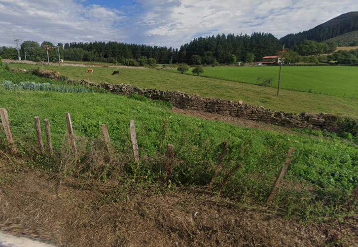 Vacas pastan en el barrio de Karrantza en que ha ocurrido el siniestro.