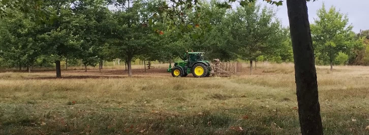 La actuación que se paralizó en su momento y da pie ahora a este expediente.