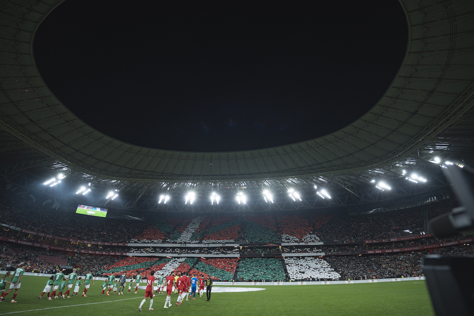 Euskal Selekzioko eta Palestinako jokalariak berdeguneratzen.