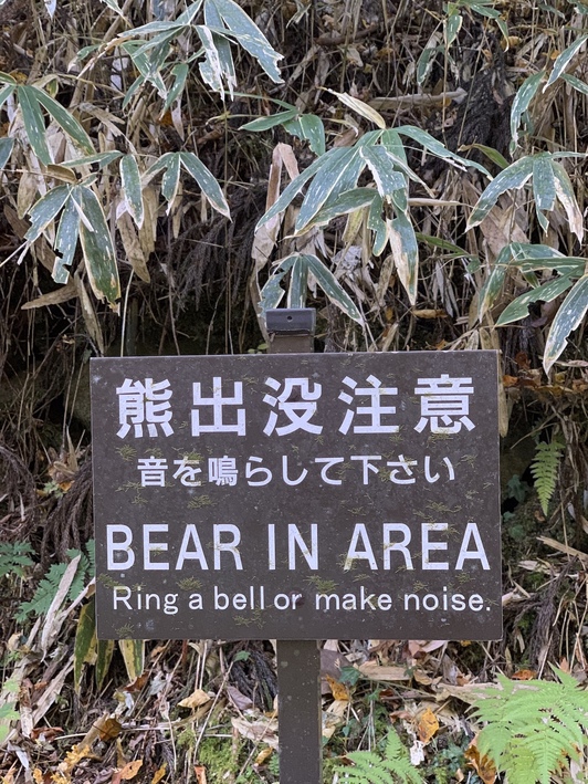 Kartel bat Japonian.