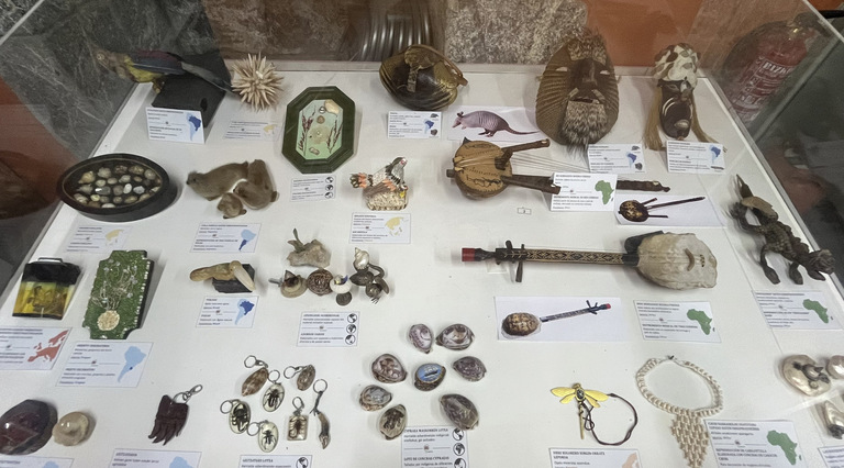 Bizkaiko Natur Zientzien Museoren erakusketa.